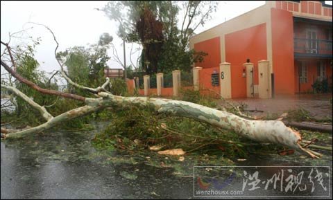 熱帶氣旋“海蒂”登陸西澳大利亞 機場港口全部關閉