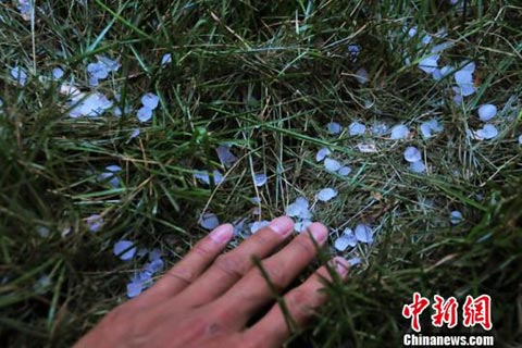 新疆石河子連遭冰雹襲擊 致部分城區停電