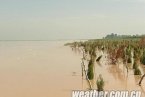 寧夏地區(qū)將有明顯降水 黃河防汛壓力將大增