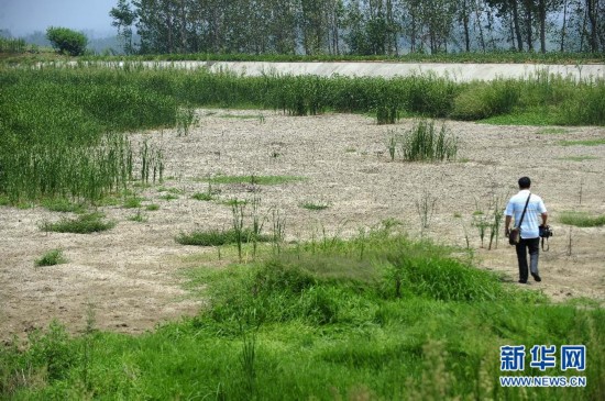 旱情嚴重的隨州市