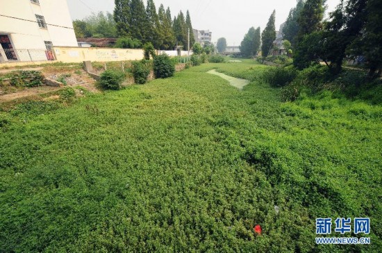 旱情嚴重的隨州市