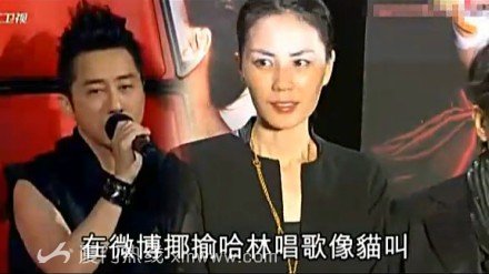 王菲微博調侃哈林唱歌象貓叫