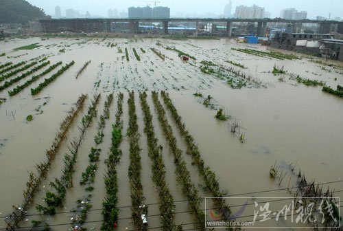 西市安定區暴雨災情