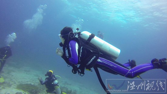 貞妤菲律賓潛水