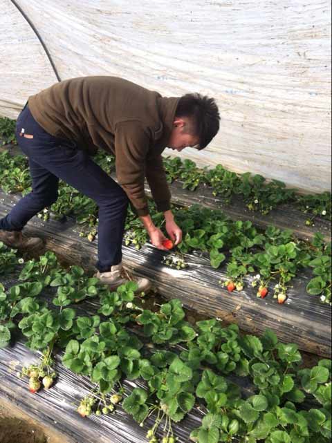 合肥迎來溫暖元旦 高溫將突破15℃