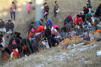 蘭州哄搶桔子 2014年1月4日蘭州一輛貨車側翻村民哄搶