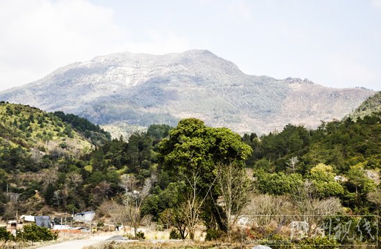 溫州下雪了永嘉天氣預(yù)報說下雨