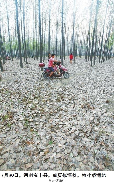 2014年河南干旱情況