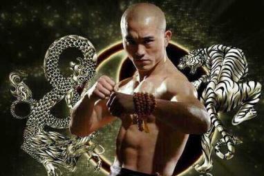 一龍5次擊倒mma雙料冠軍 把對手打出擂臺
