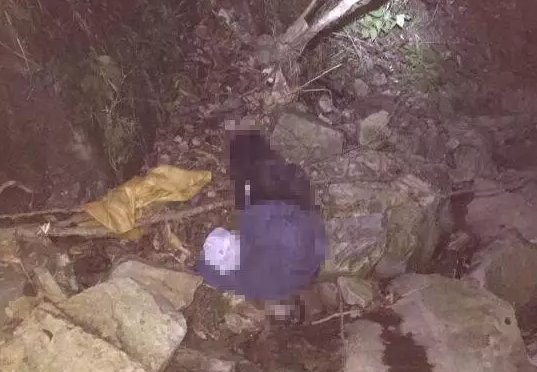 青田一對夫妻上山采草藥墜崖身亡