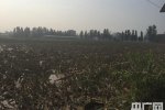 邢臺洪澇災害最新消息