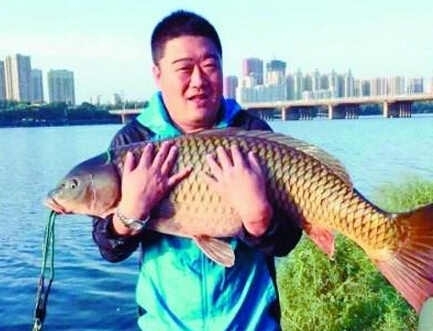 釣上50斤鯉魚王