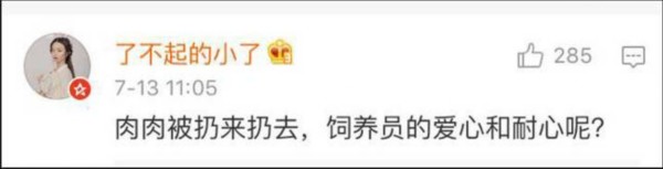 熊貓遭粗魯對待