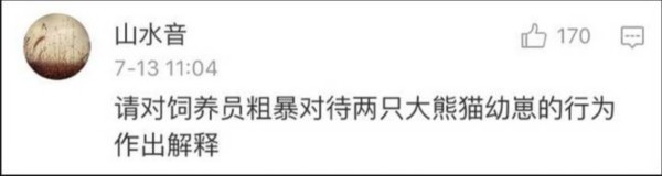 熊貓遭粗魯對待