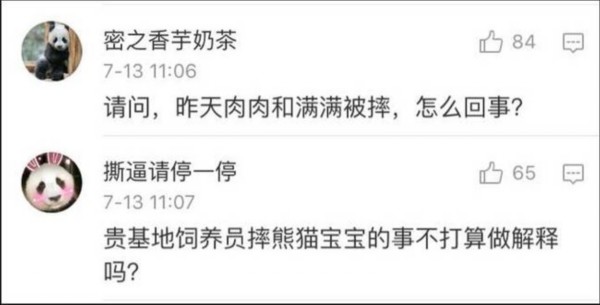 熊貓遭粗魯對待