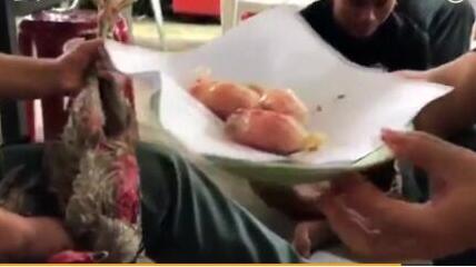 毒販被判給雞道歉