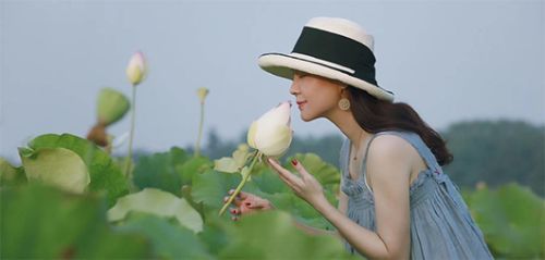 阿姨7條絲巾照相