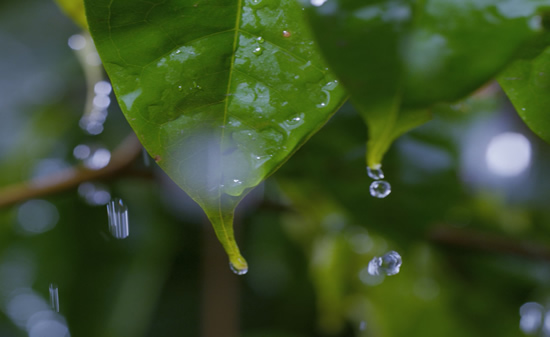 臺風和龍卷風的區別
