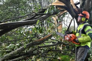 法國風暴極光造成25萬多戶家庭停電