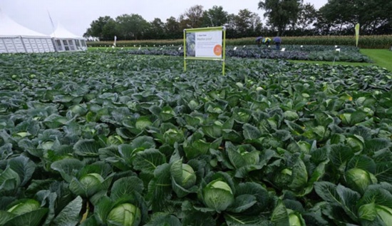 農民正在應對&ldquo;后世界末日&rdquo;的糧食危機