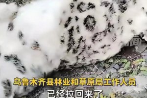 烏魯木齊天山后峽發(fā)