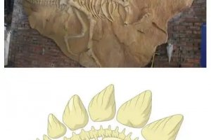 村民用了多年的墊腳